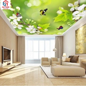 Trần xuyên sáng 002